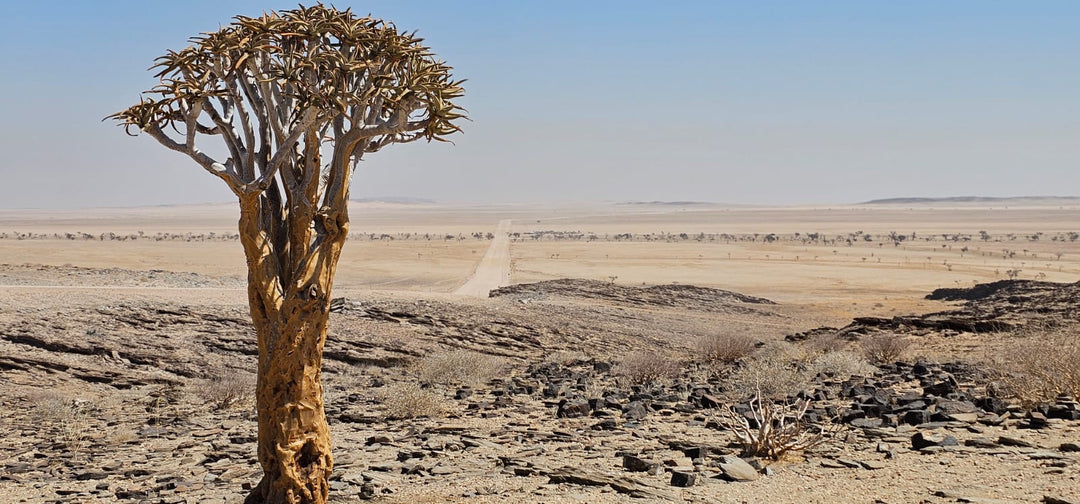 Namibia: An Adventure Through Wild Landscapes and Breathtaking Horizons - La Casa by Importante